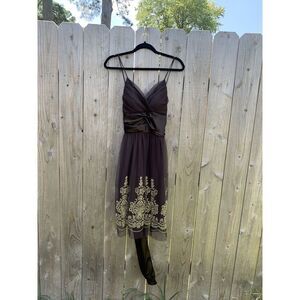 A.P.N.Y. Women's Brown Empire Waist Brown Gold Size‎ 12 Fall Mesh Satin Fairy